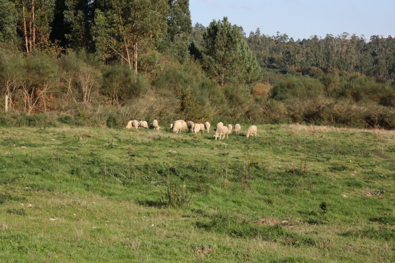 Casa Rural Cabo De Arans ξενώνας Oroso Εξωτερικό φωτογραφία